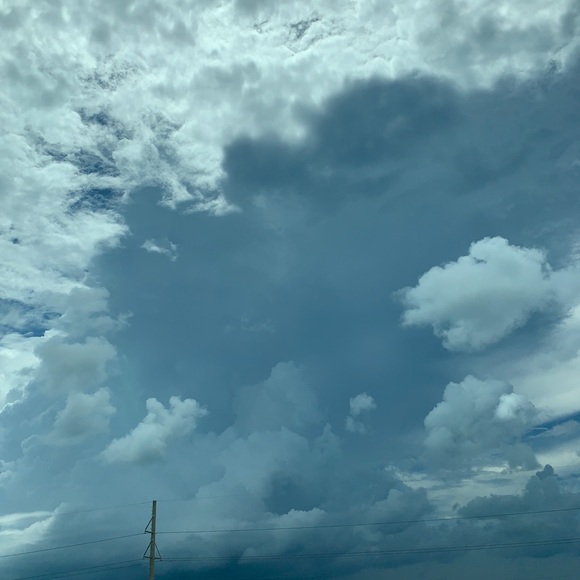 Meet your Posher, Sofia - Picture 1 of 1